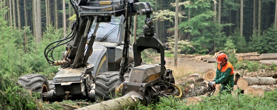 Chevron introduces Techron® fuel treatment Tree cutting