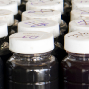 The Importance of Taking a Data-Rich Oil Sample for Analysis