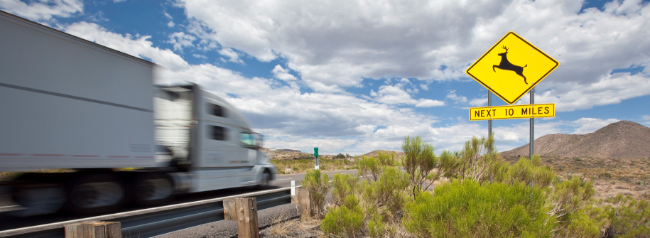 Truck on Highway