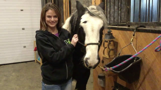 Lisa Kelly and horse