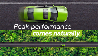 PRO-RS renewable PRO-RS renewable