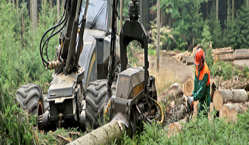 Techron Powersports & Small Engine Forestry equipment